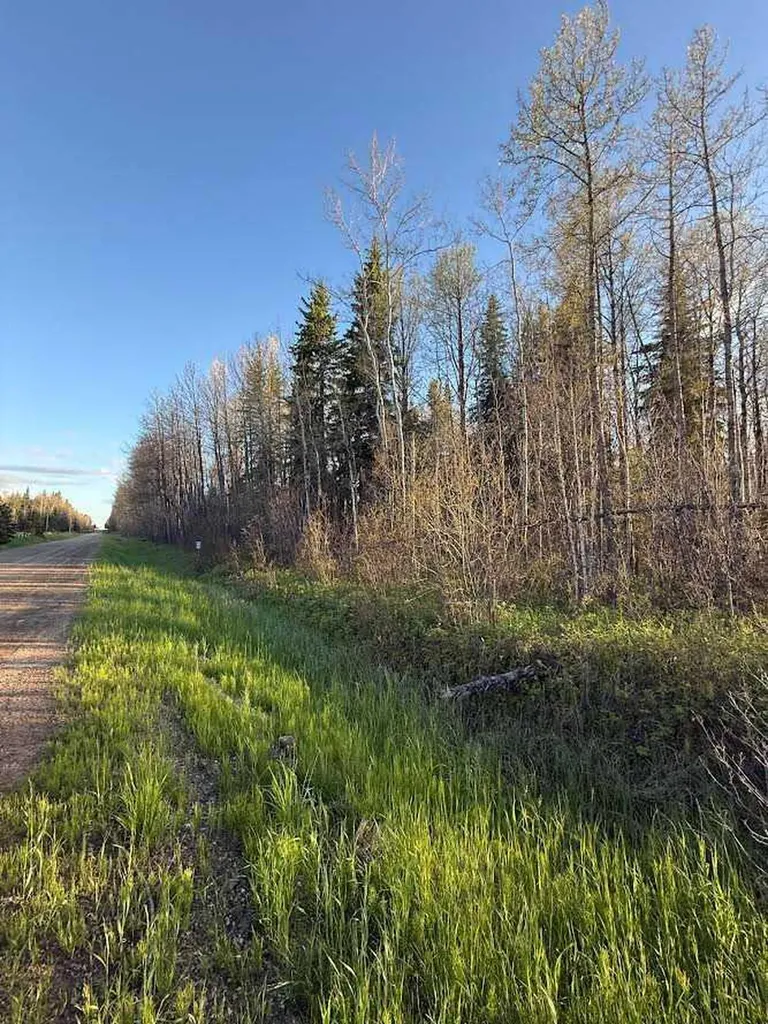 616 Hyw Rural Brazeau County AB T7A1R9