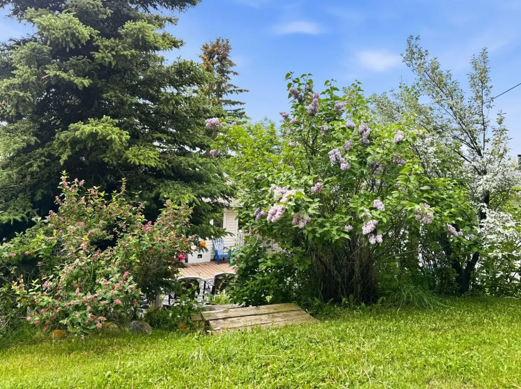 10214 97 Avenue Grande Cache AB t0e0y0