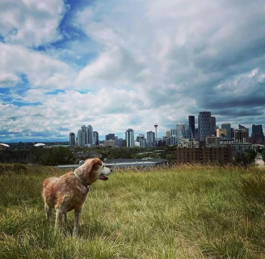 521 10 Avenue NE Calgary AB T2E0X7