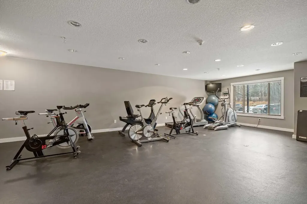 300 Palliser Lane Canmore AB T1W 0H5
