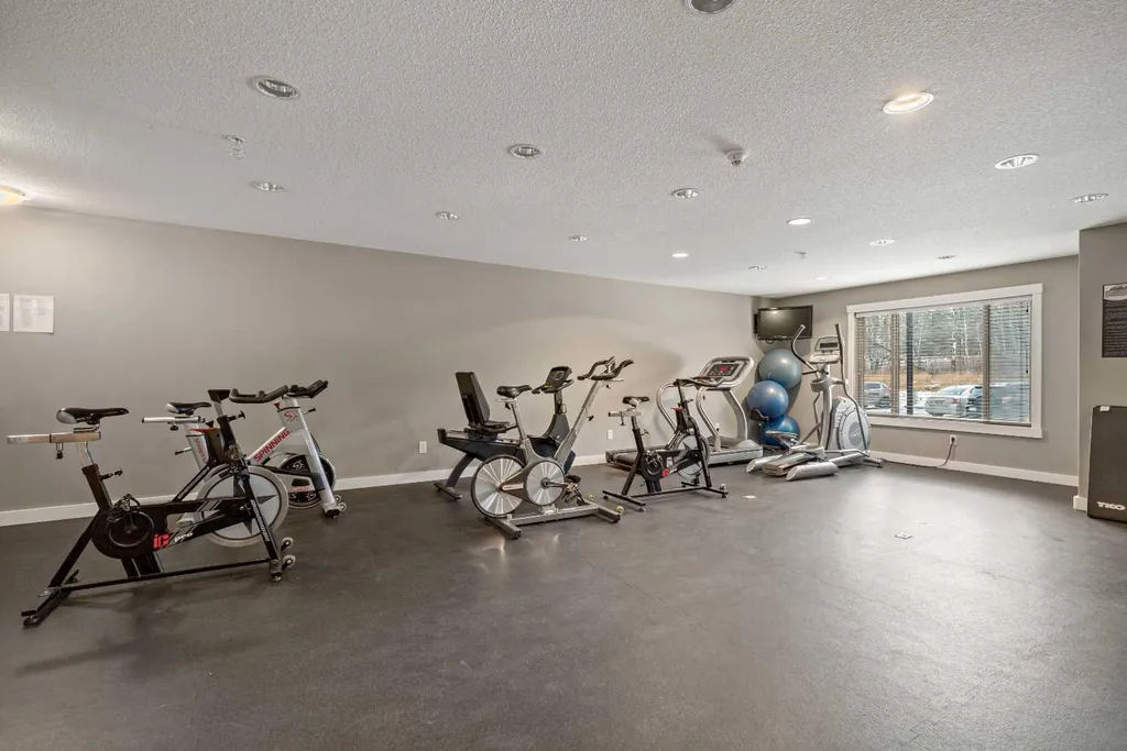 300 Palliser Lane Canmore AB T1W 0H5