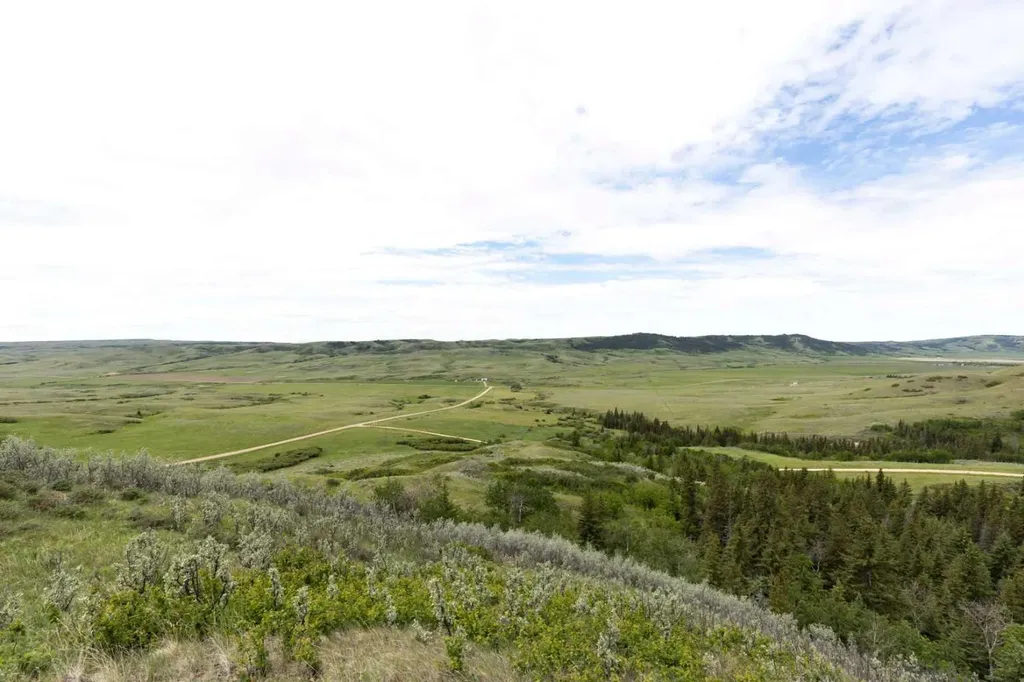 3230 Thelma Road Rural Cypress County AB T0J 1V0