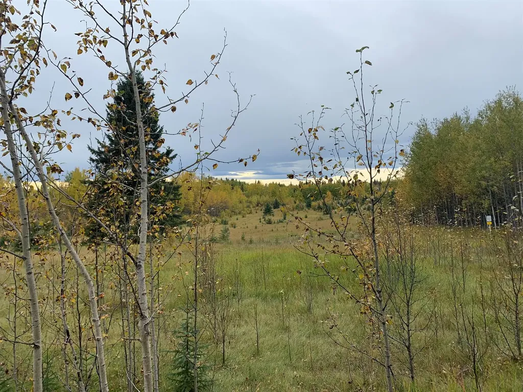 Highway 16 And Range Road 184 Rural Yellowhead County AB T7E 3B4