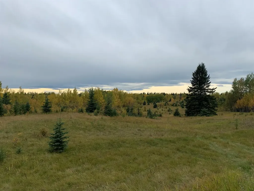 Highway 16 And Range Road 184 Rural Yellowhead County AB T7E 3B4