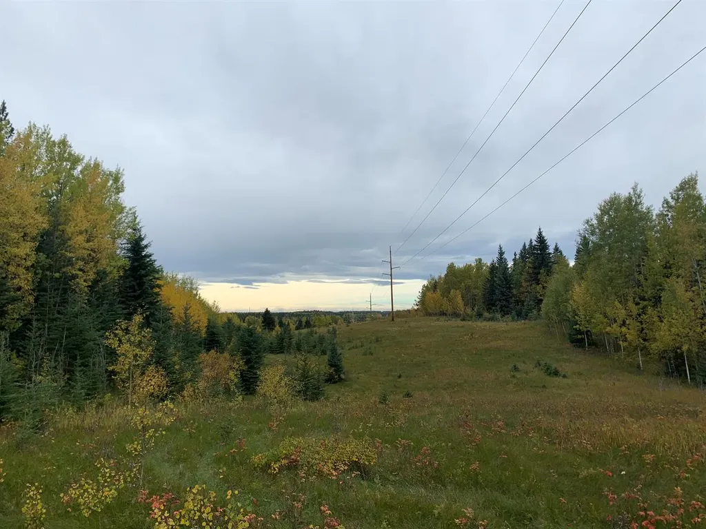 Highway 16 And Range Road 184 Rural Yellowhead County AB T7E 3B4