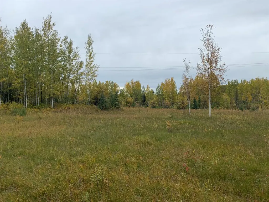 Highway 16 And Range Road 184 Rural Yellowhead County AB T7E 3B4