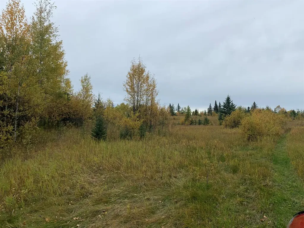 Highway 16 And Range Road 184 Rural Yellowhead County AB T7E 3B4