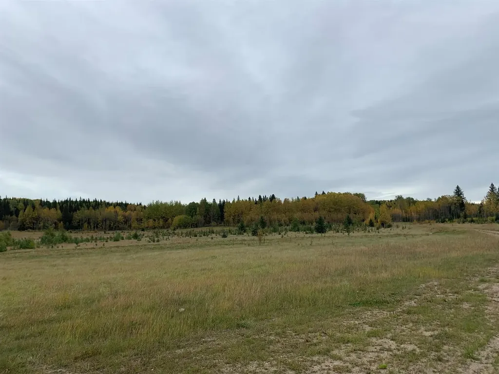 Highway 16 And Range Road 184 Rural Yellowhead County AB T7E 3B4