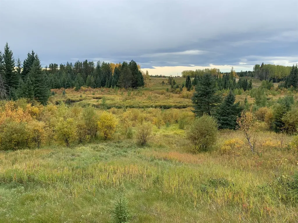 Highway 16 And Range Road 184 Rural Yellowhead County AB T7E 3B4