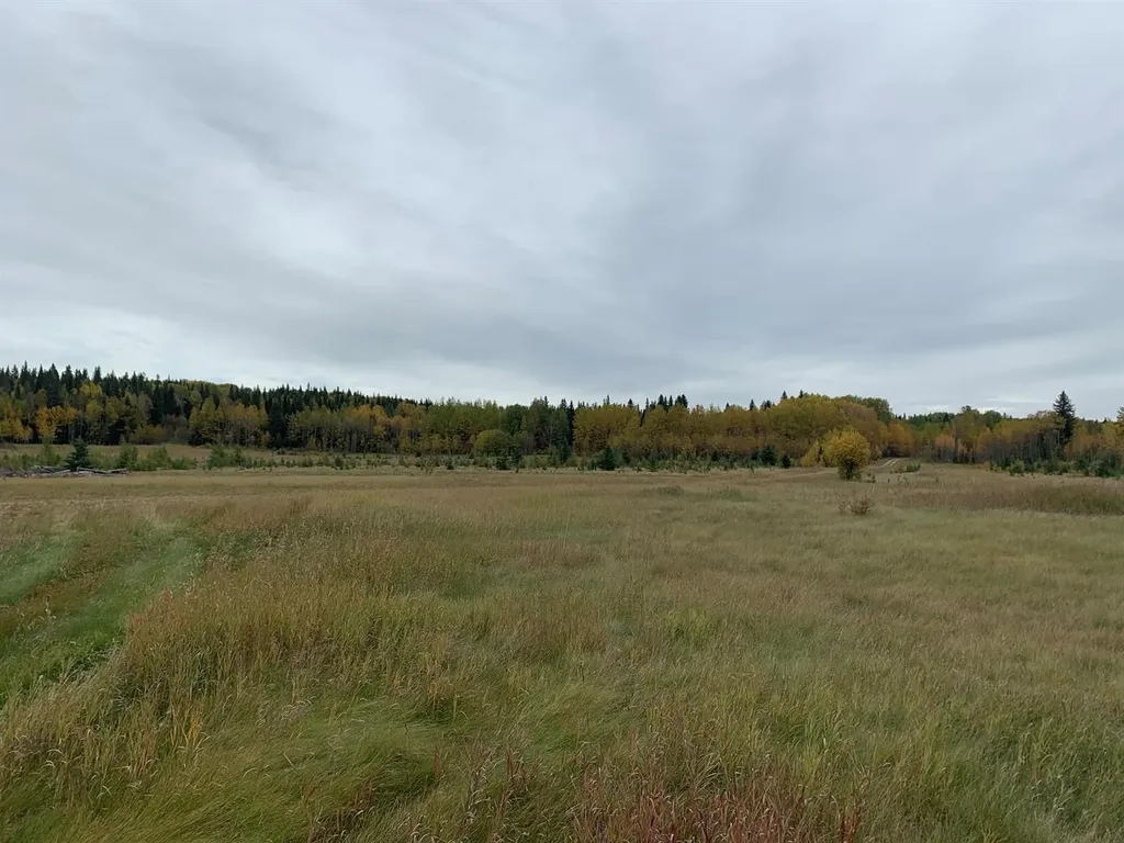Highway 16 And Range Road 184 Rural Yellowhead County AB T7E 3B4