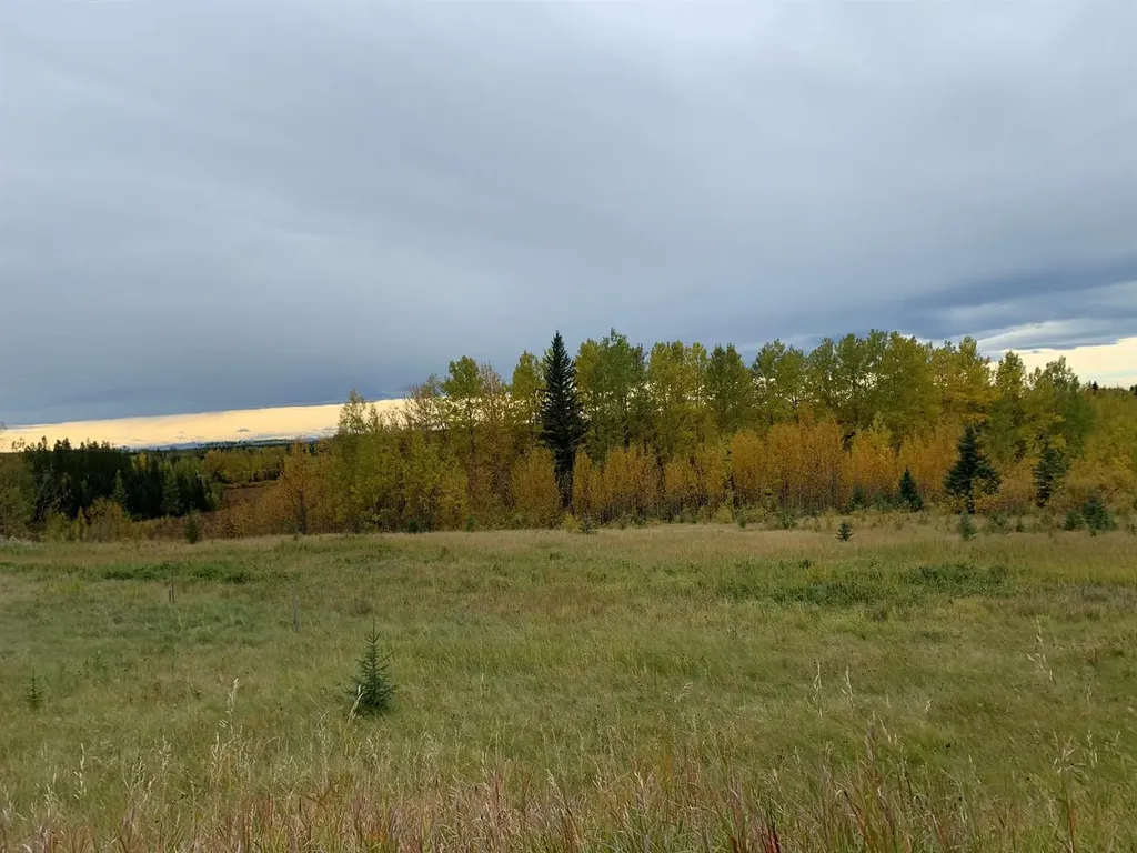 Highway 16 And Range Road 184 Rural Yellowhead County AB T7E 3B4