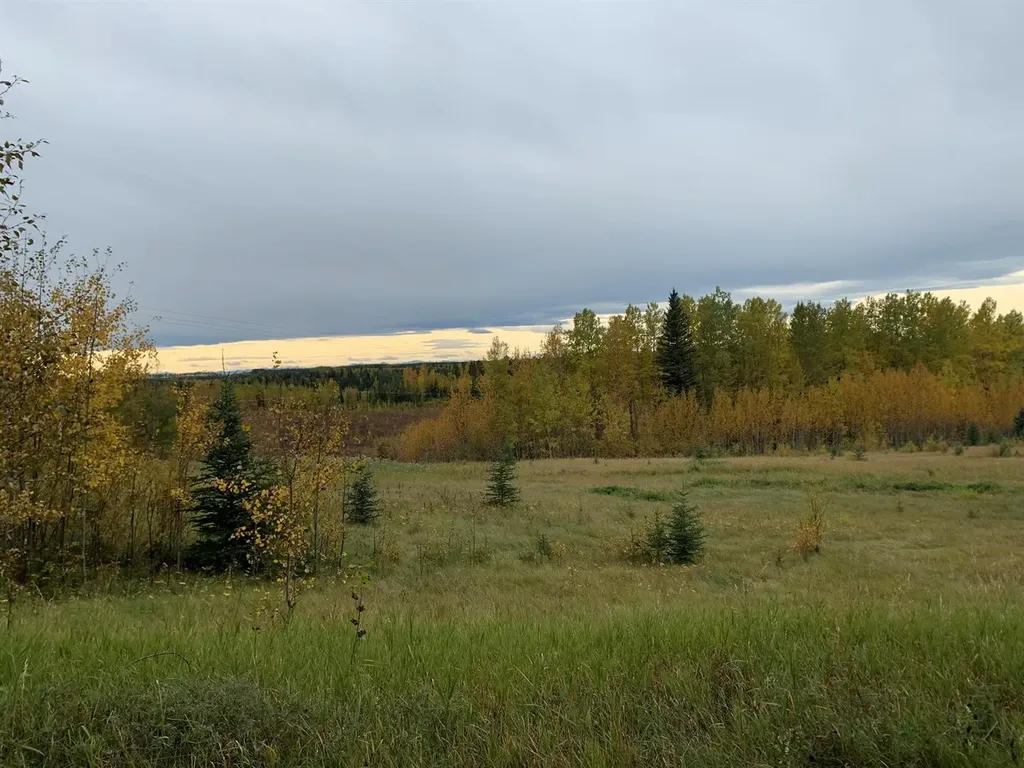 Highway 16 And Range Road 184 Rural Yellowhead County AB T7E 3B4