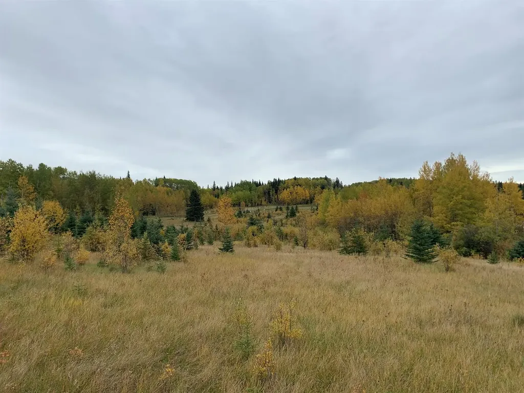 Highway 16 And Range Road 184 Rural Yellowhead County AB T7E 3B4