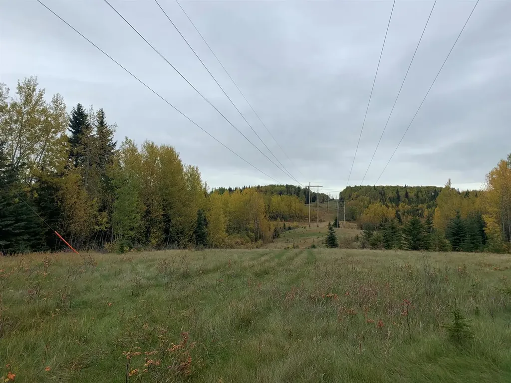 Highway 16 And Range Road 184 Rural Yellowhead County AB T7E 3B4