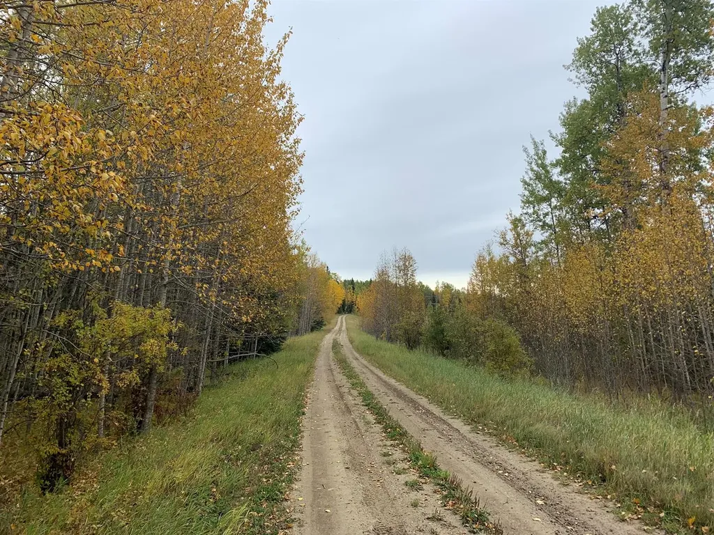 Highway 16 And Range Road 184 Rural Yellowhead County AB T7E 3B4