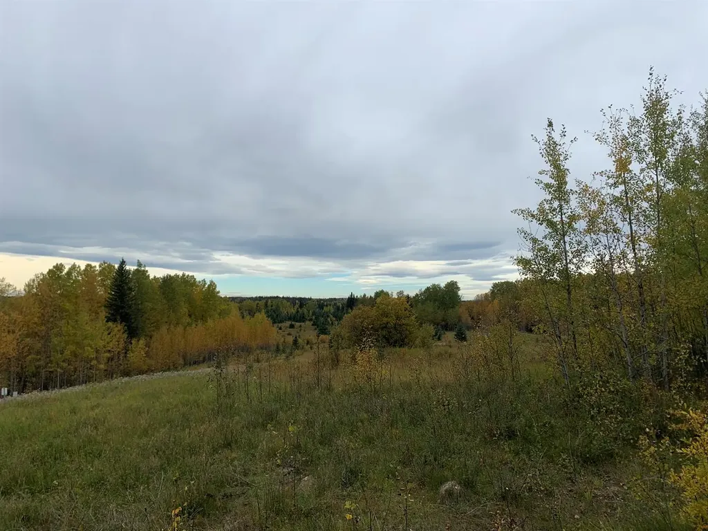 Highway 16 And Range Road 184 Rural Yellowhead County AB T7E 3B4
