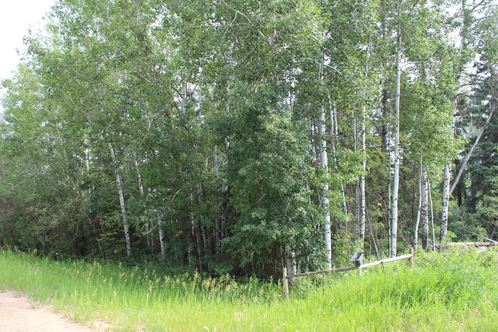 155 Range SE Rural Mackenzie County AB T0H 1N0