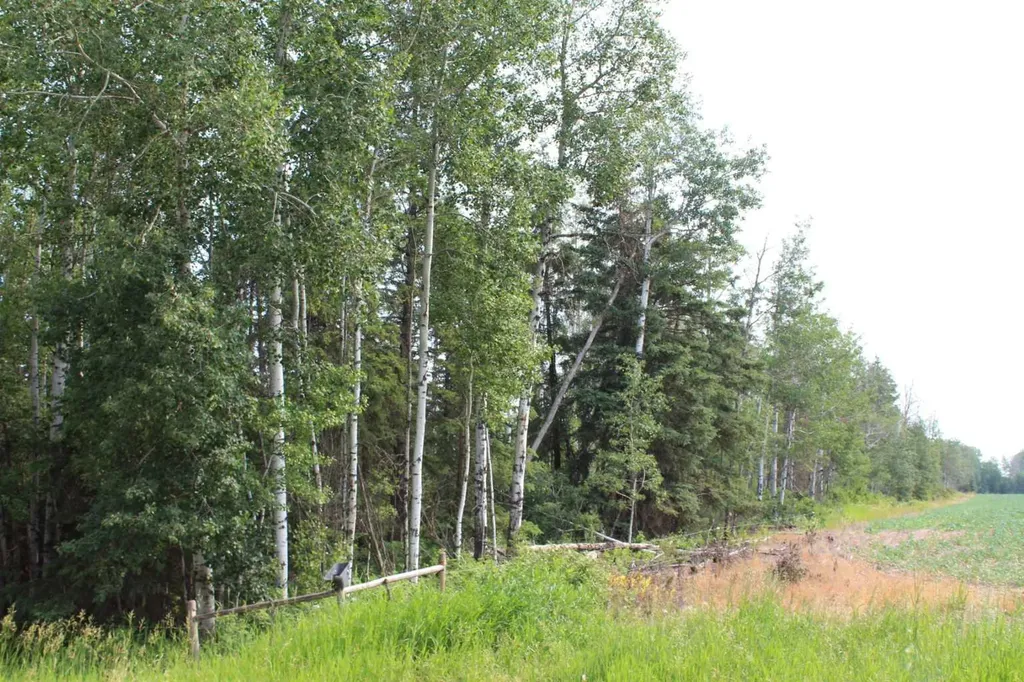 155 Range SE Rural Mackenzie County AB T0H 1N0