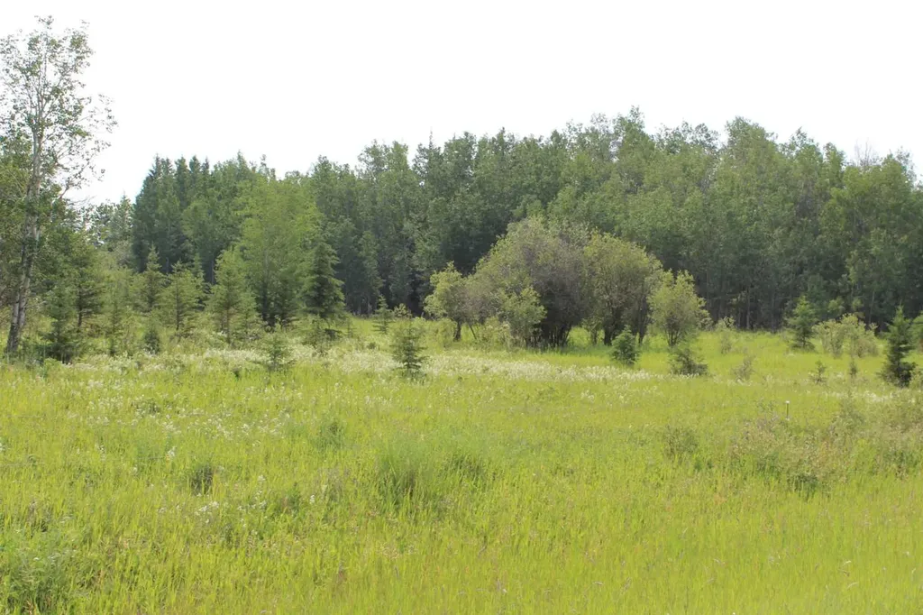 155 Range NW Rural Mackenzie County AB T0H 1N0