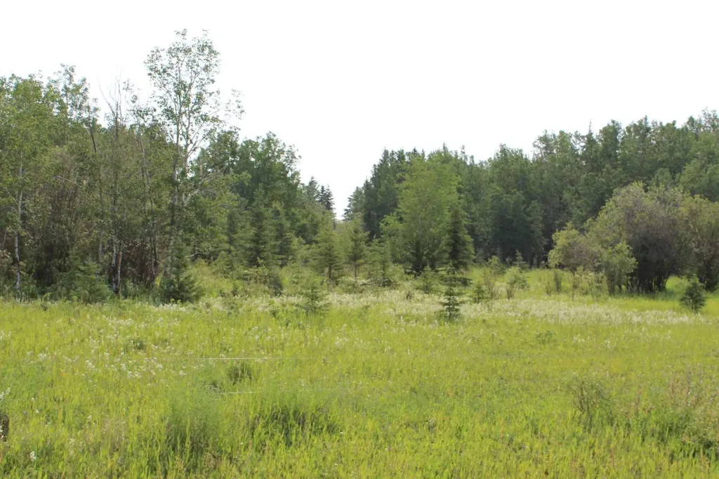155 Range NW Rural Mackenzie County AB T0H 1N0