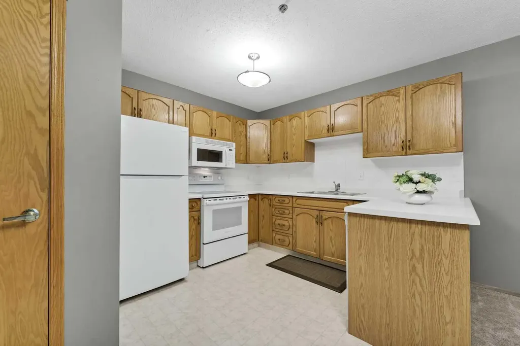 22 Park Meadows Drive SE Medicine Hat AB T1B4E8