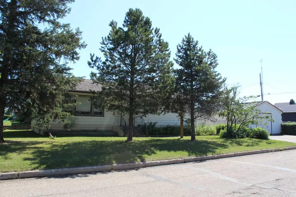 310 2nd Street SW Manning AB T0H 2M0