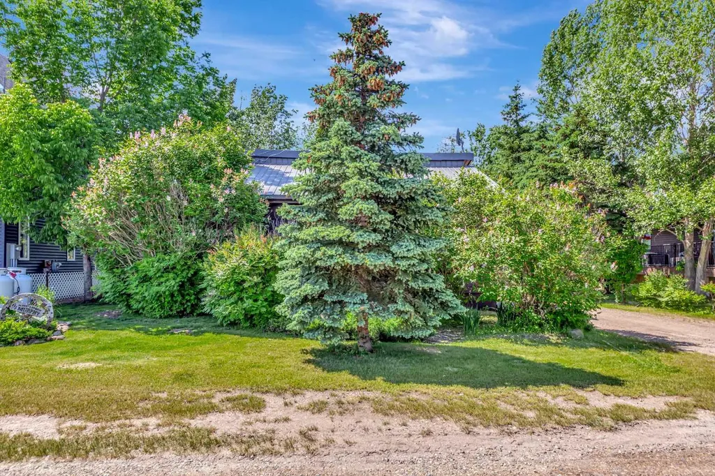 206 Poplar Place Turtle Lake SK S0M 1J0
