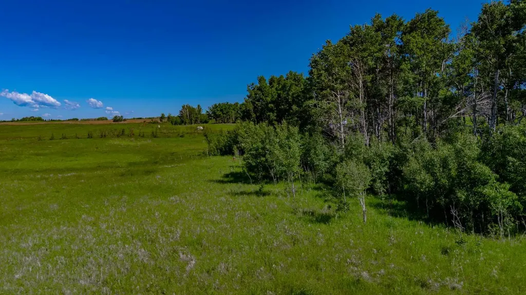 32103 Badger Road Rural Rocky View County AB T4C 1A2