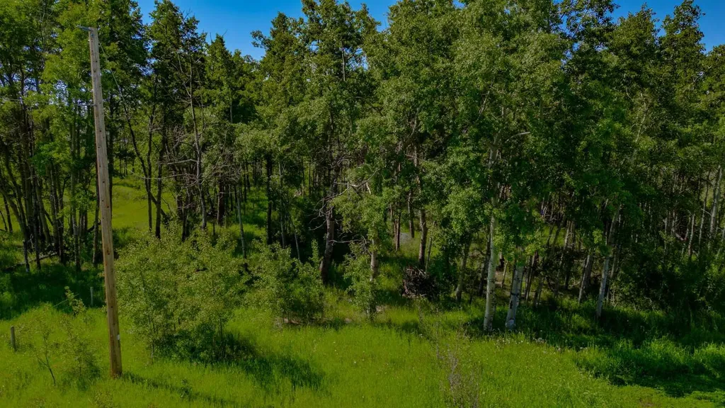 32103 Badger Road Rural Rocky View County AB T4C 1A2