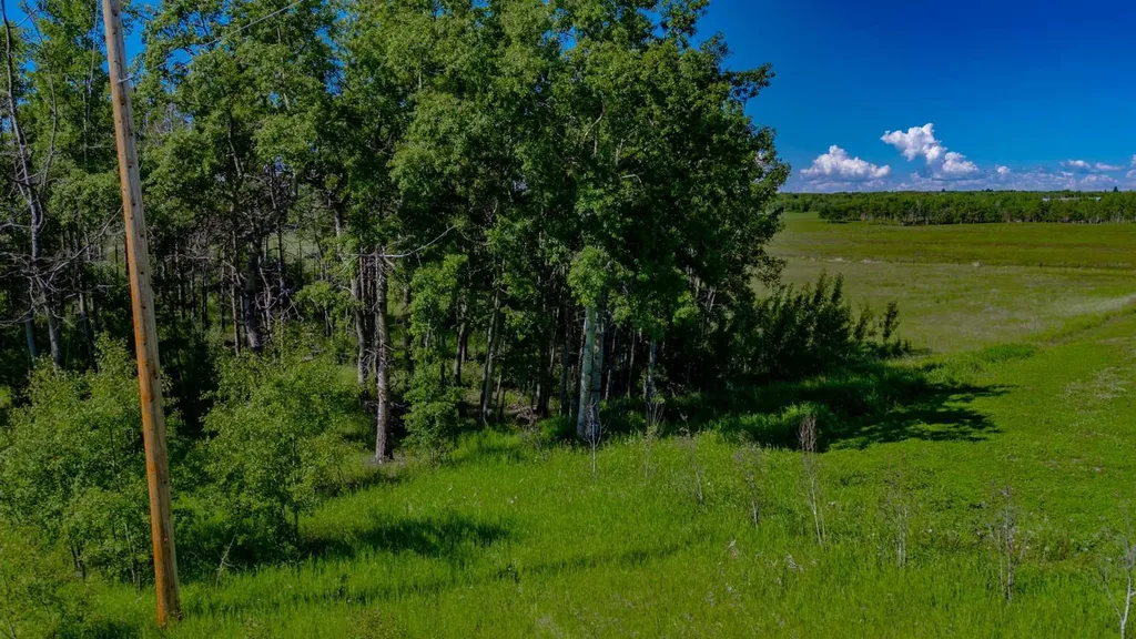32103 Badger Road Rural Rocky View County AB T4C 1A2