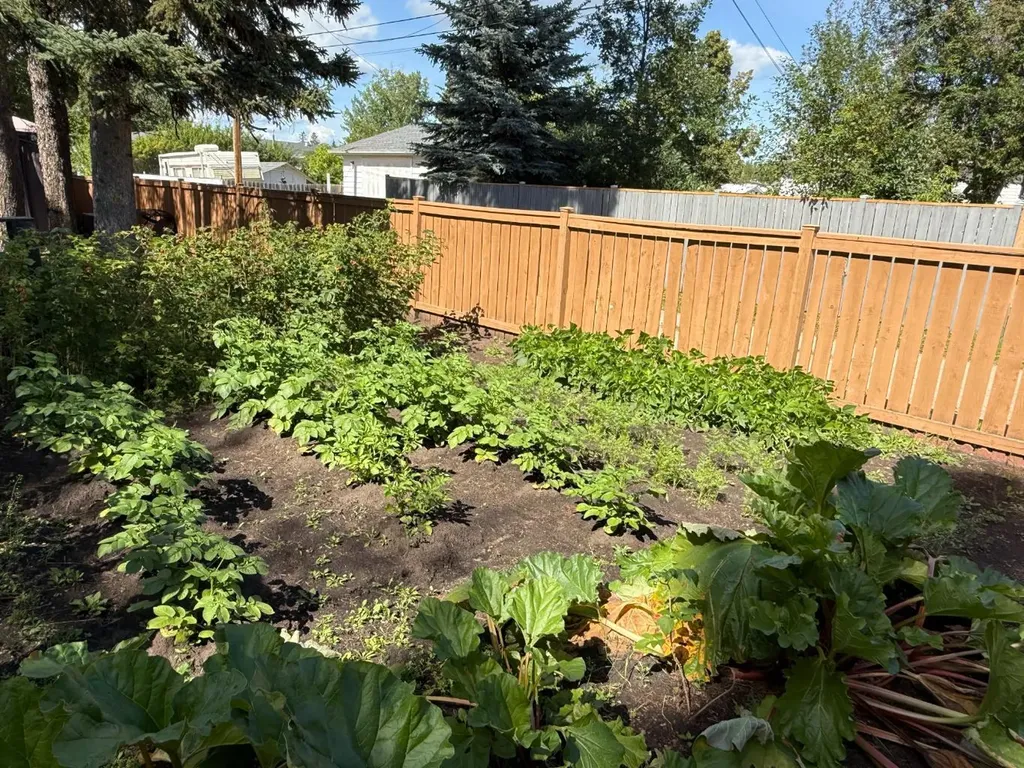 11 Virginia Avenue Whitecourt AB T7S 1H2