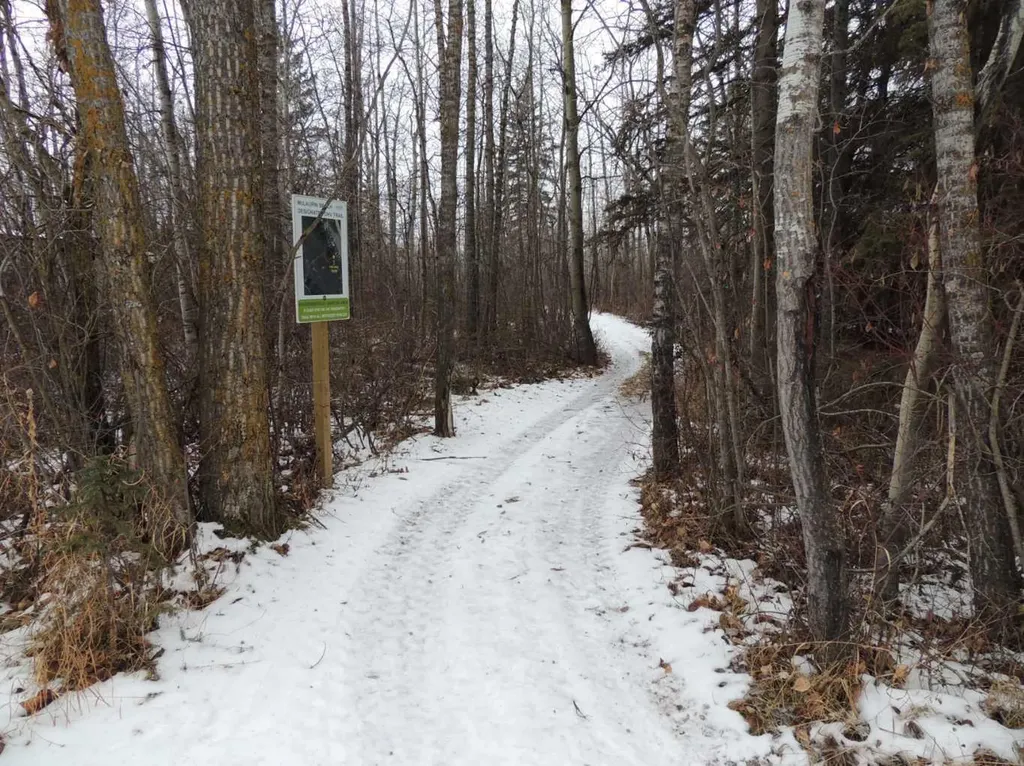 28126 Township Road 411 Rural Lacombe County AB T4L 2N3