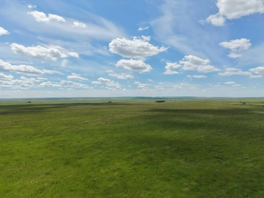 14446 Township Road 302 Rural Special Areas No. 2 AB T0J 1P0