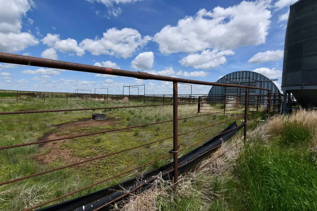 14446 Township Road 302 Rural Special Areas No. 2 AB T0J 1P0