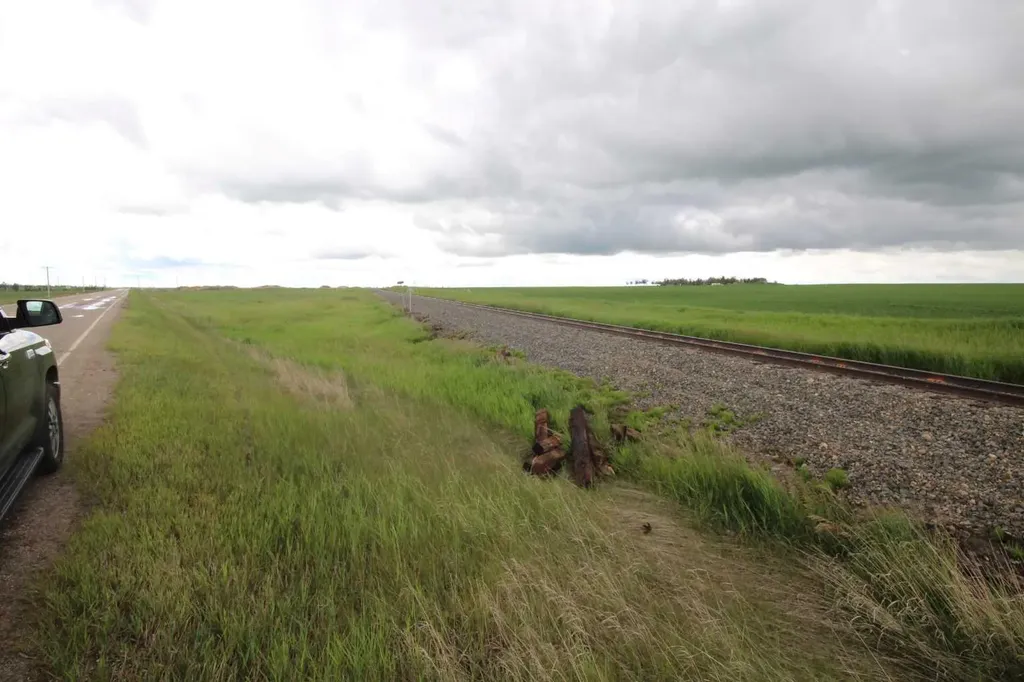 271016 Township Road 264 Rural Rocky View County AB T0M1B0