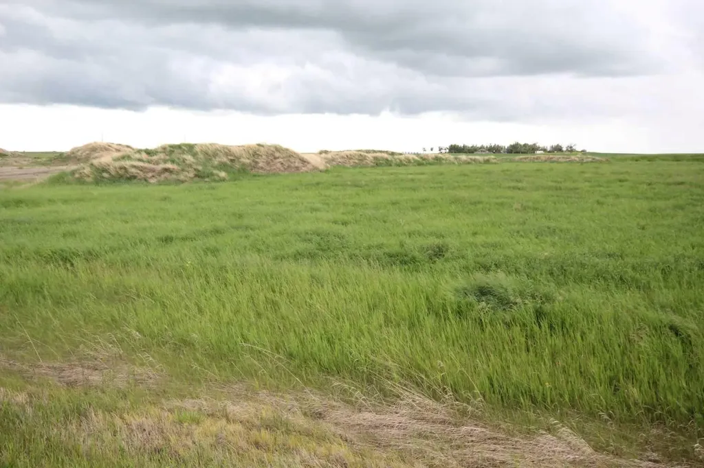 271016 Township Road 264 Rural Rocky View County AB T0M1B0