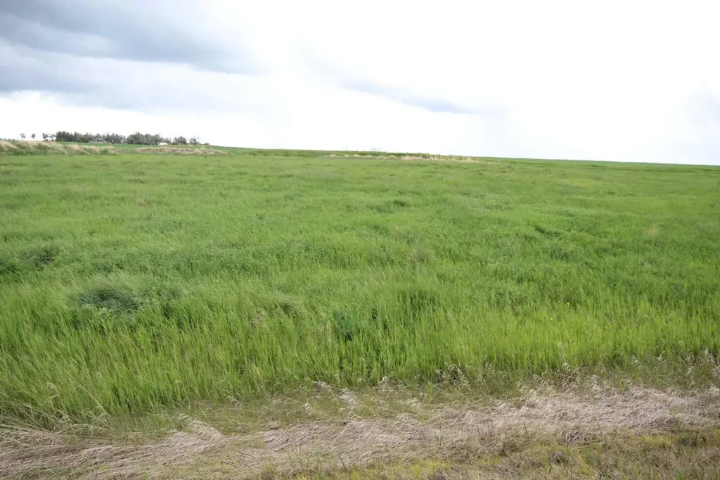 271016 Township Road 264 Rural Rocky View County AB T0M1B0