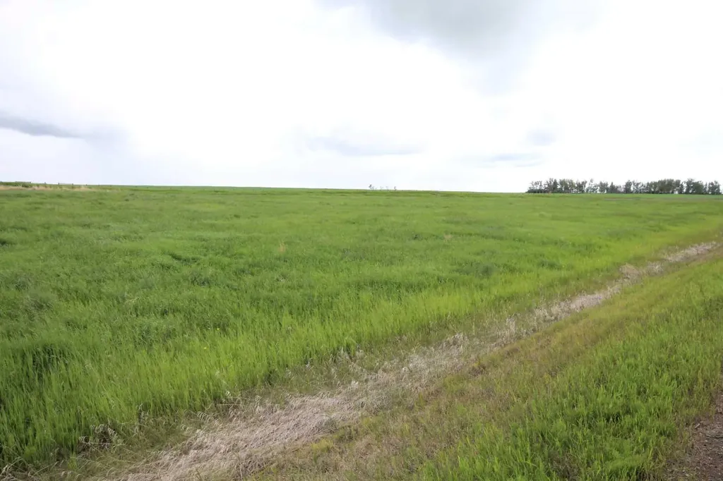 271016 Township Road 264 Rural Rocky View County AB T0M1B0
