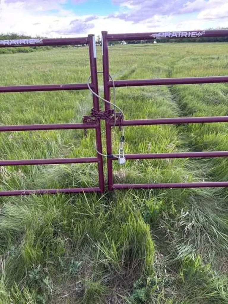 164 Rural Vulcan County AB T0L 2B0