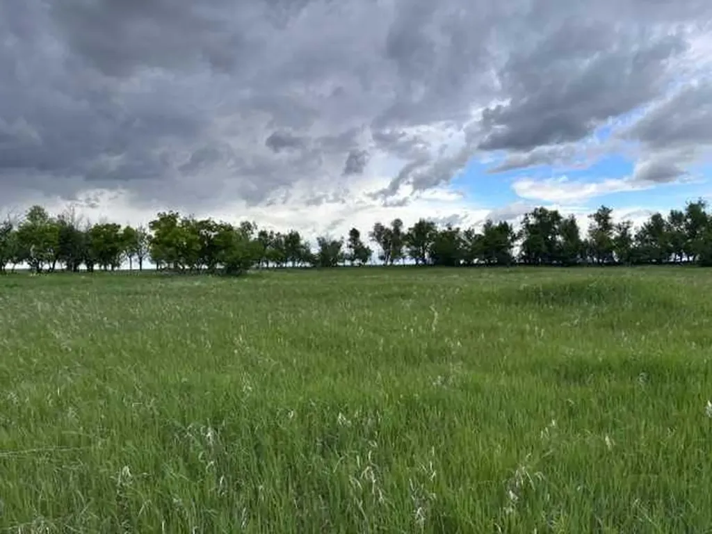 164 Rural Vulcan County AB T0L 2B0