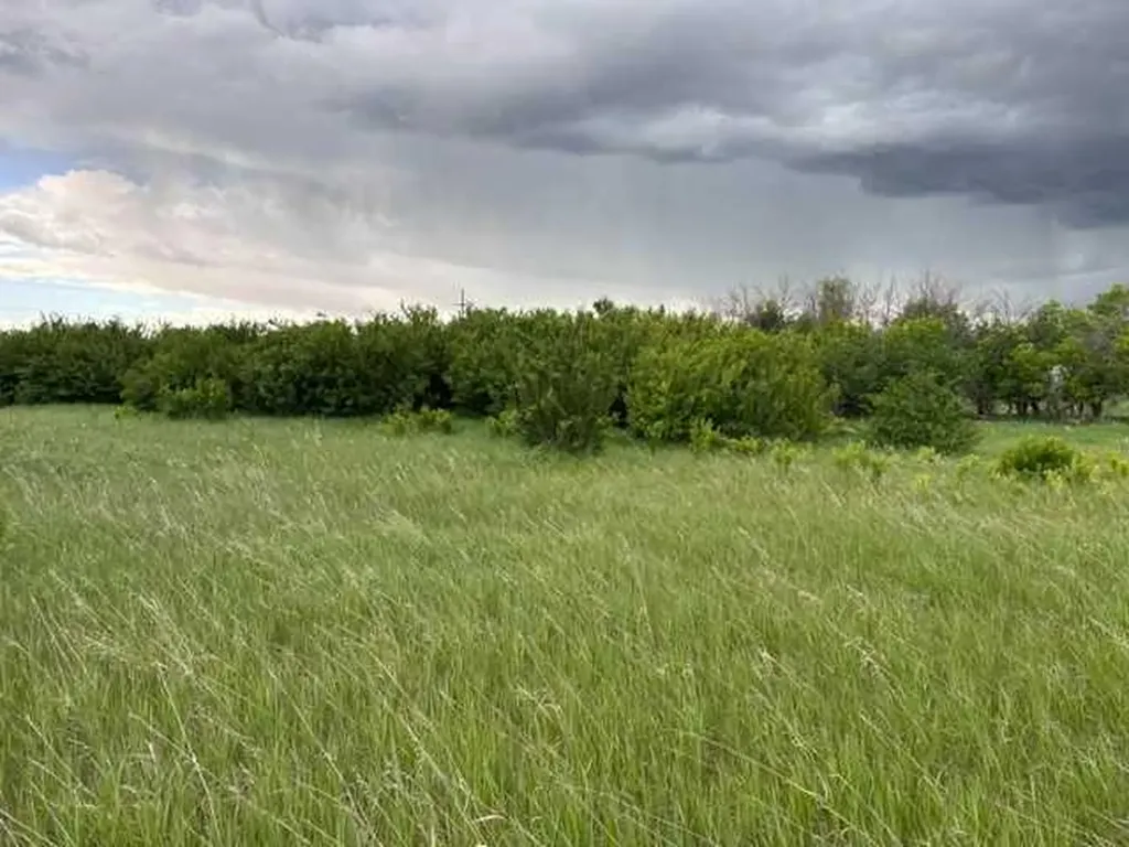 164 Rural Vulcan County AB T0L 2B0