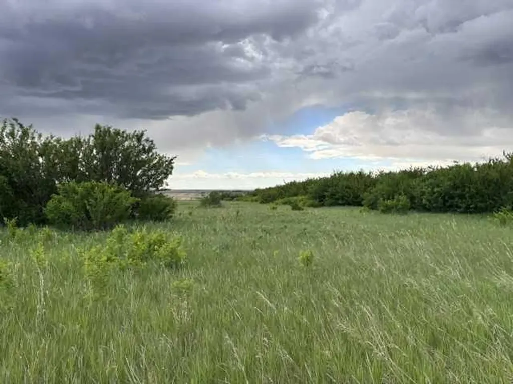 164 Rural Vulcan County AB T0L 2B0