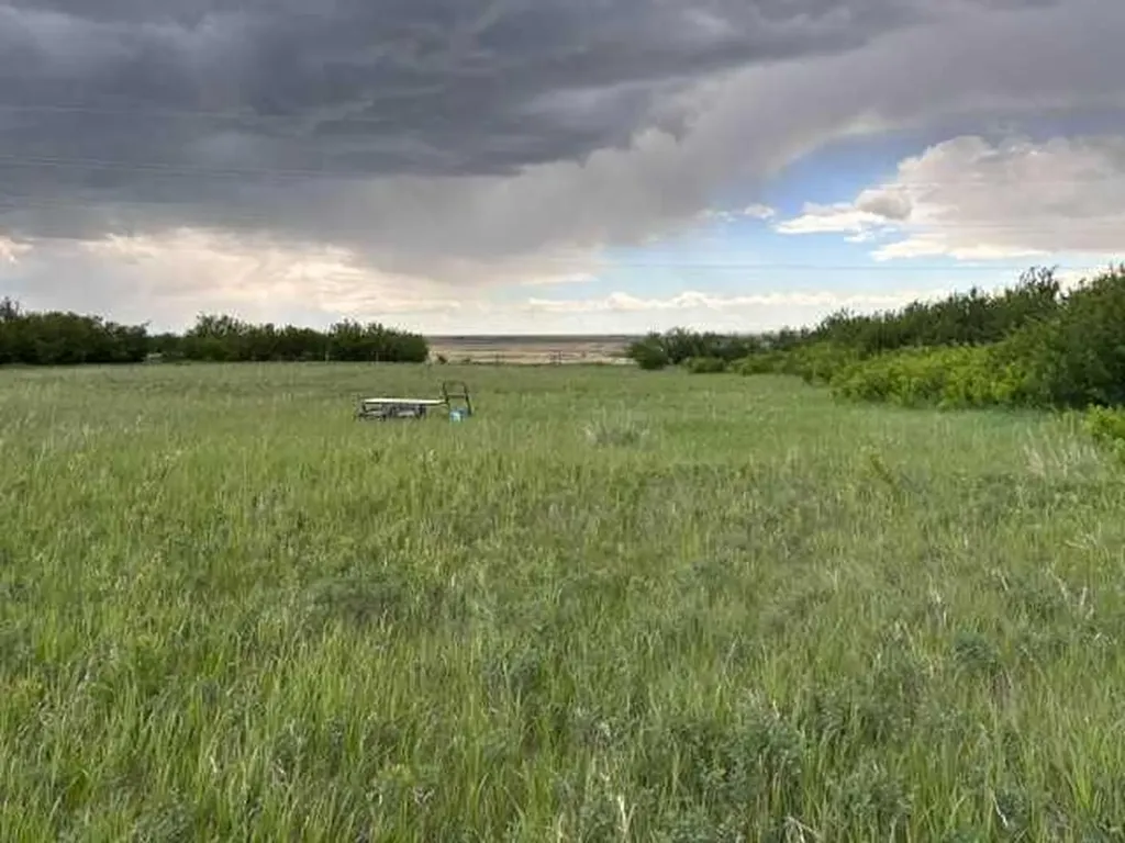 164 Rural Vulcan County AB T0L 2B0