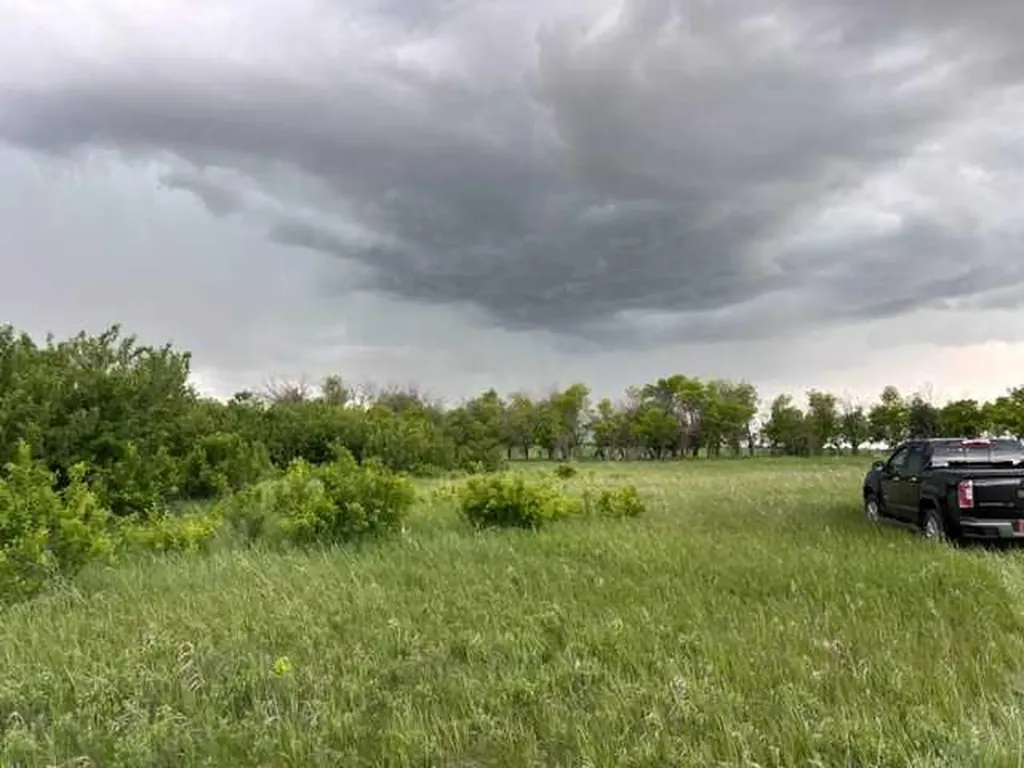 164 Rural Vulcan County AB T0L 2B0