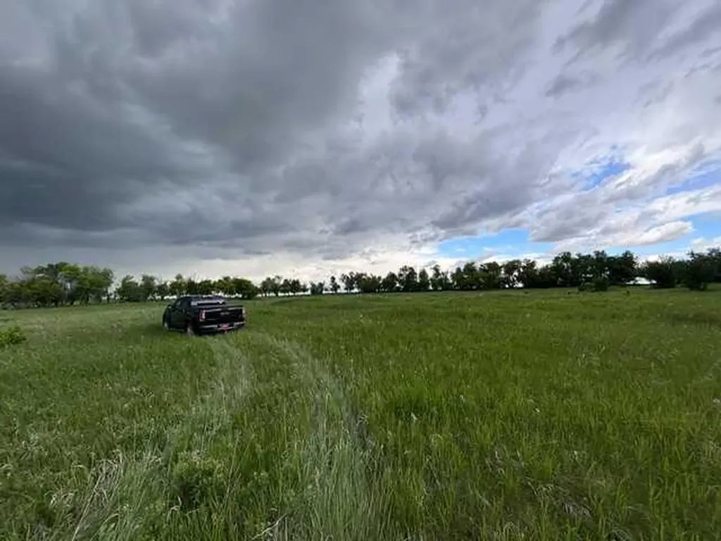 164 Rural Vulcan County AB T0L 2B0