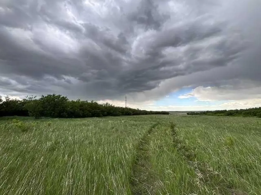 164 Rural Vulcan County AB T0L 2B0