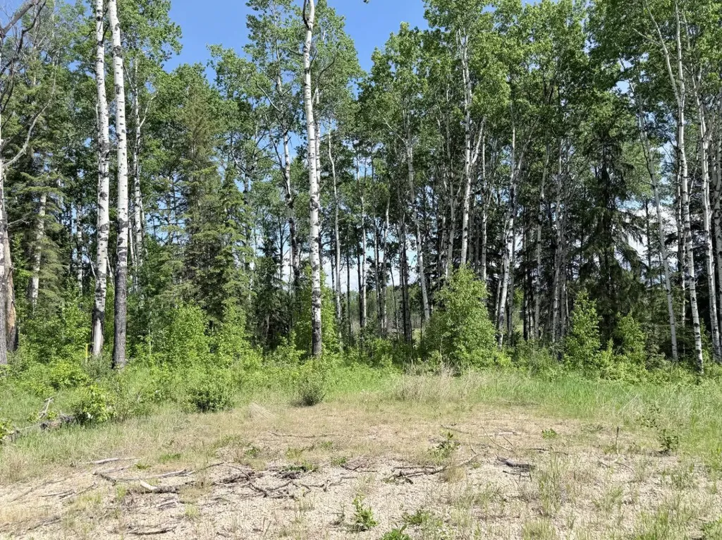Block 2 Lot 7 Elk Ridge Estates Rural Woodlands County AB T7S 1N9