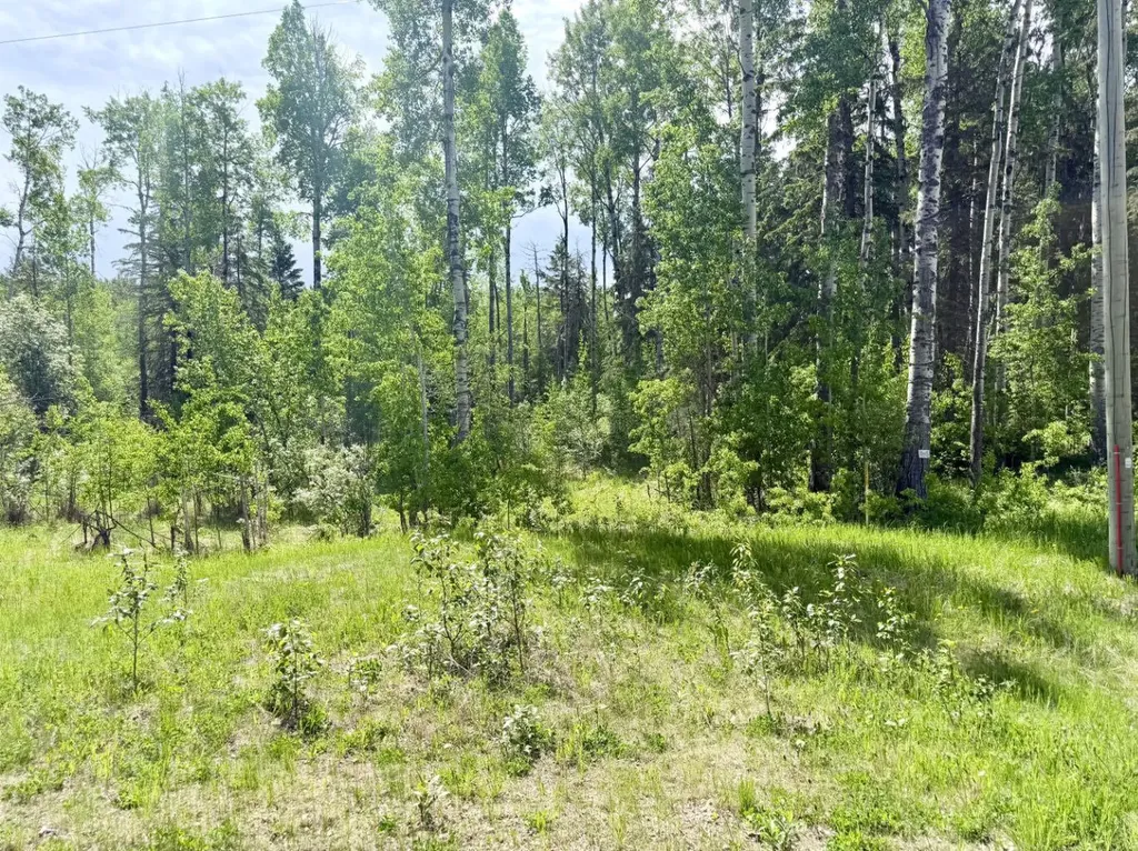 Block 2 Lot 8 Elk Ridge Estates Rural Woodlands County AB T7S 1N9