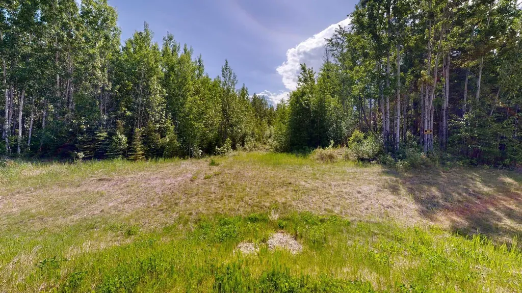 Block 1 Lot 13 Elk Ridge Estates Rural Woodlands County AB T7S 1N9
