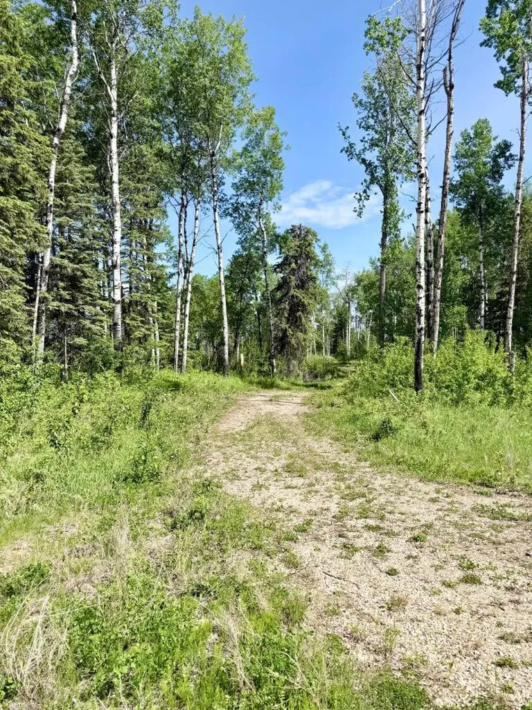 Block 2 Lot 5 Elk Ridge Estates Rural Woodlands County AB T7S 1N9